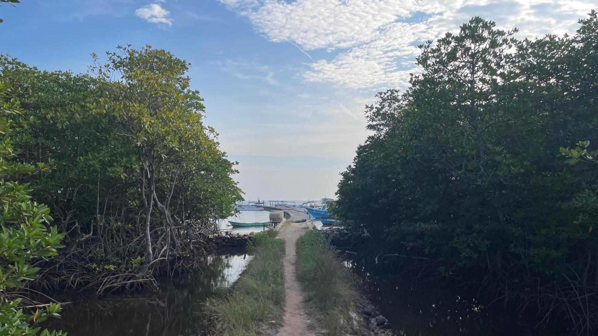 Mangrove Inn 卡里蒙贾瓦 外观 照片