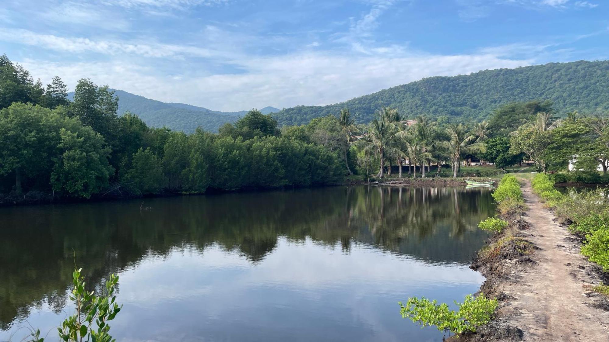 Mangrove Inn 卡里蒙贾瓦 外观 照片