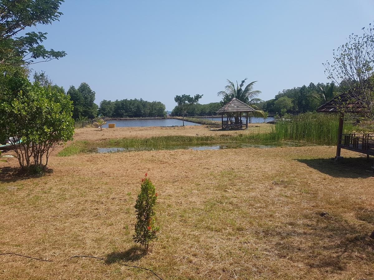 Mangrove Inn 卡里蒙贾瓦 外观 照片