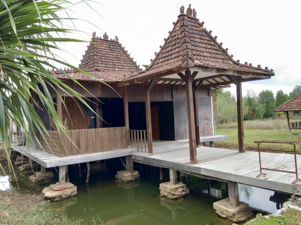 Mangrove Inn 卡里蒙贾瓦 外观 照片